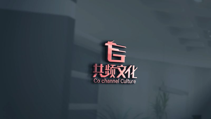 宣传片拍摄定制：揭秘十大品牌背后的专业与实力