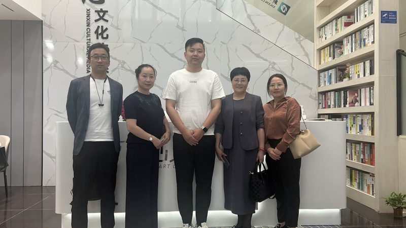 宣传片拍摄风格与类型解析：揭秘制作背后的秘密