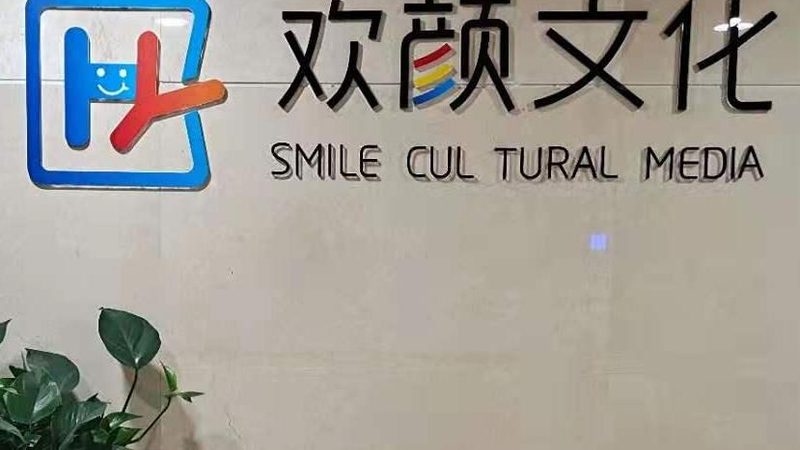 产品宣传片：尺寸、价格与选型逻辑**